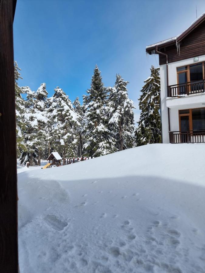 Borovets Ski&Spa Studio - Semiramida Garden A16 Екстериор снимка
